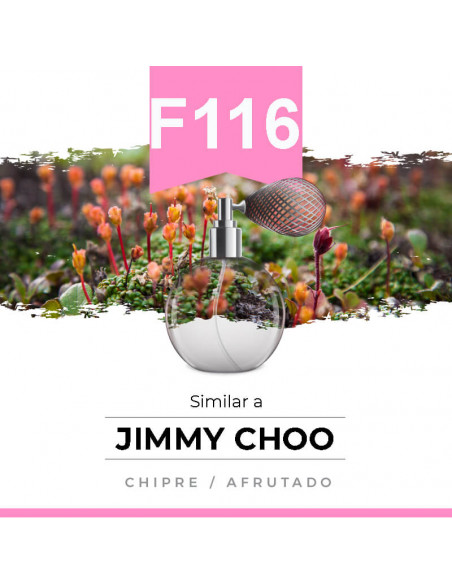 Similar a Jimmy Choo